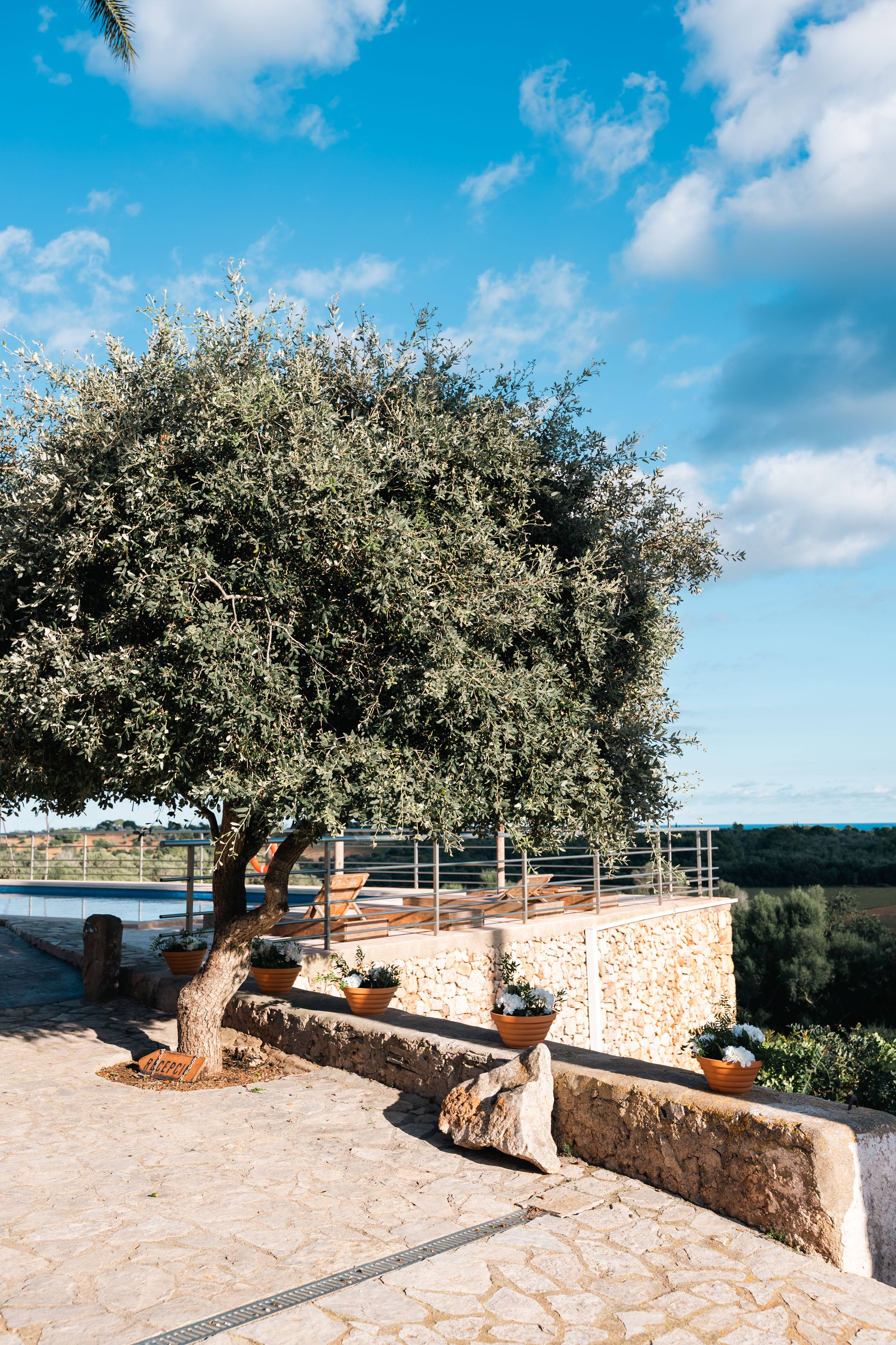 43e2f1ee 3750 4376 b50e c5ff2c18d490